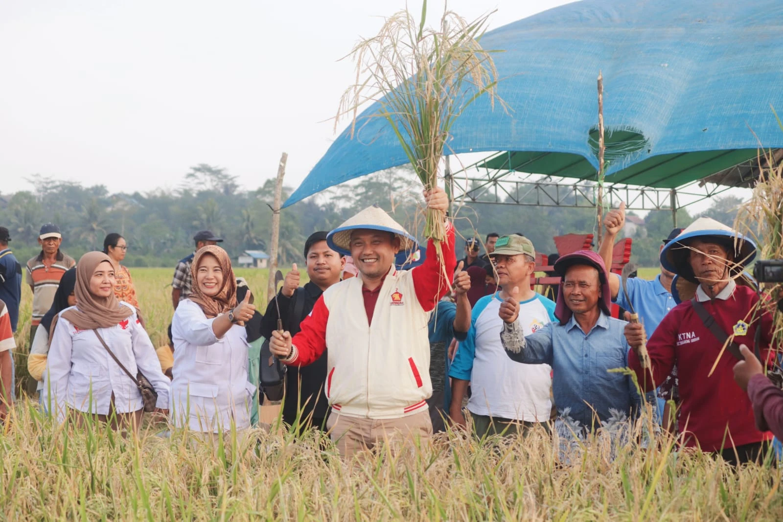 Seno Aji Gelar Panen Raya Bersama Petani Di Bukit Pariaman 